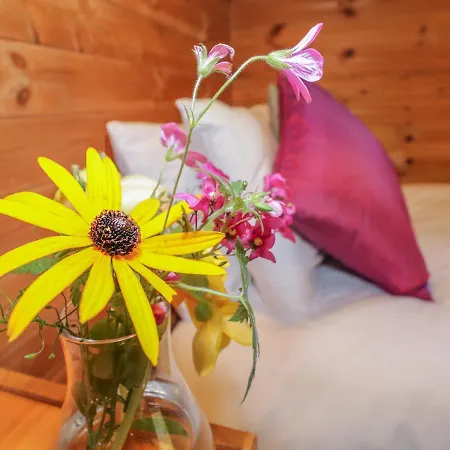 Grasmere Semesterbostad